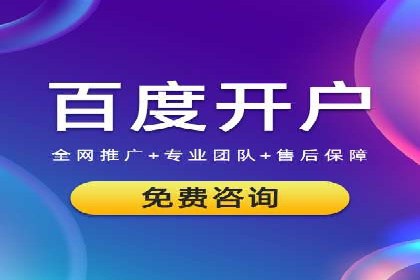 某电商平台SEM竞价广告的转化率提升案例